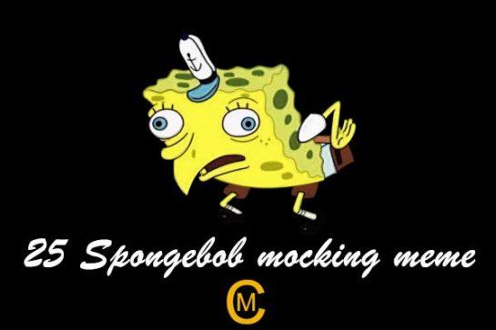 25 spongebob mocking memes