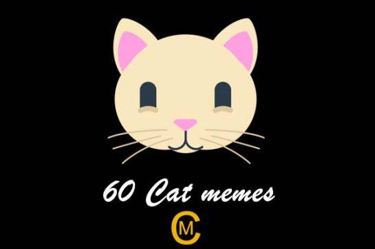 60 Cat memes