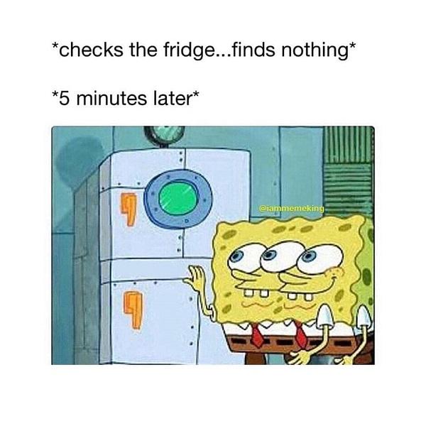 Funny Spongebob meme fridge