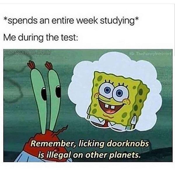 Funny Spongebob meme studying