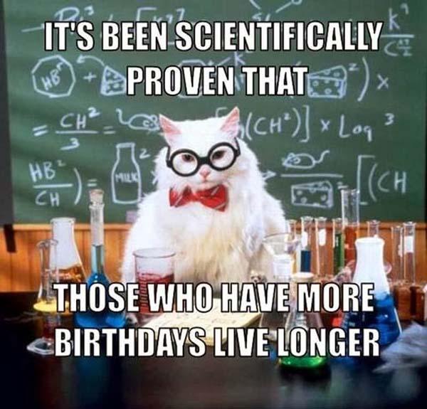 Humorious-Birthday-Meme-With-Cat-Wishes