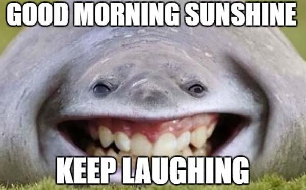 Featured image of post Good Morning Funny Memes For Her - Looking like troll funny good morning quotes.