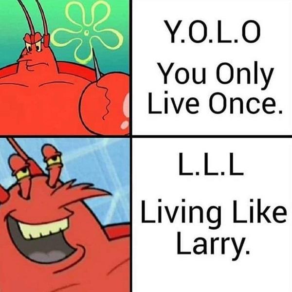 Spongebob meme funny yolo