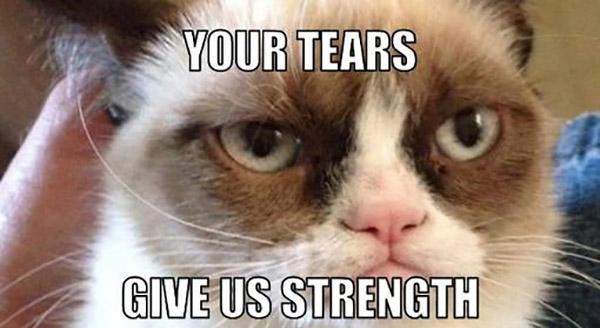 best-Grumpy-Cat-memes