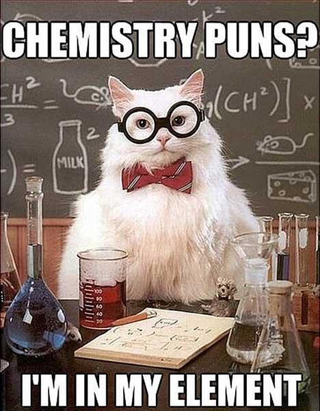 chemcat_pun element cat meme