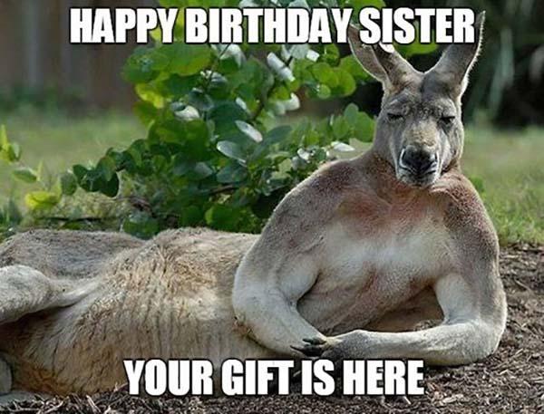 funny-happy-birthday-meme-for-my-sister