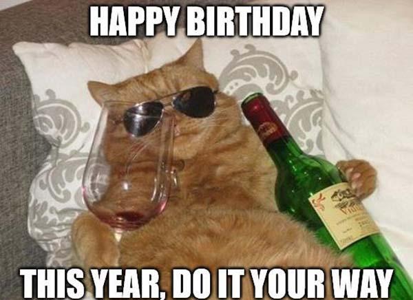 happy birthday meme for him cat