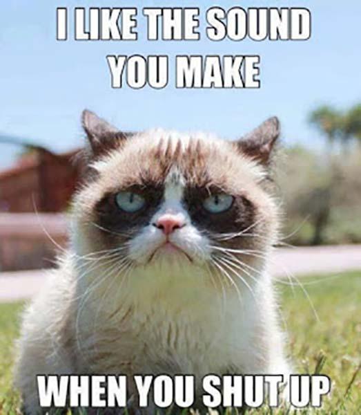 i love the sound you make grumpy cat meme