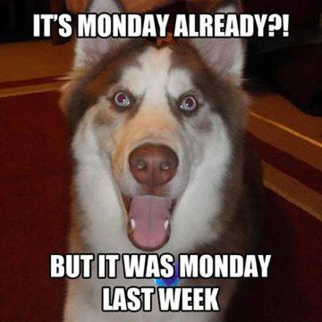 ☕ 50 Funny Monday Memes - Meme Central