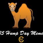35 hump day memes