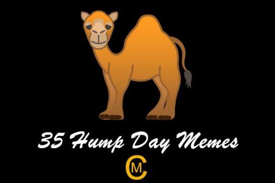 35 hump day memes
