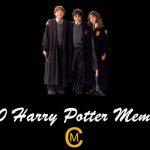 40 Harry Potter memes