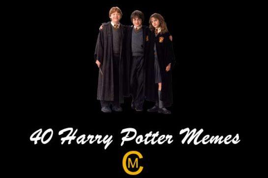40 Harry Potter memes