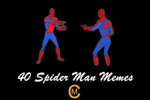 40 Funny Spider Man Memes - Meme Central