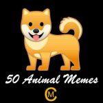 50 Animal Memes