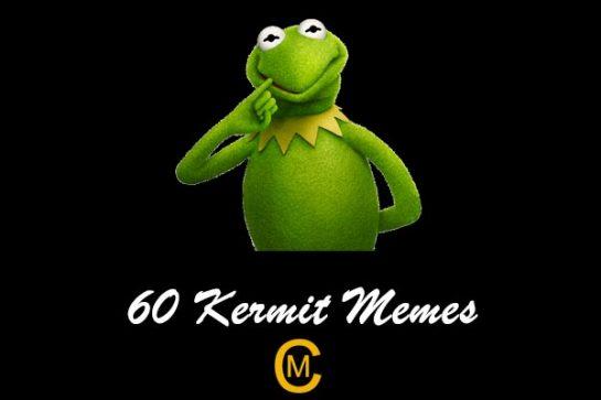 60 Kermit memes