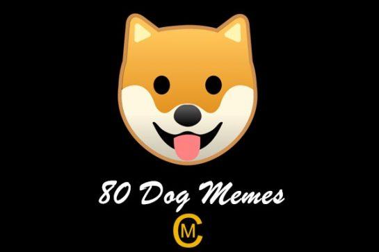 80 Dog memes