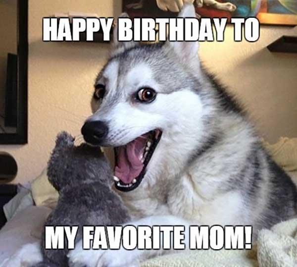 Happy-Birthday-Dog-Meme-Mom