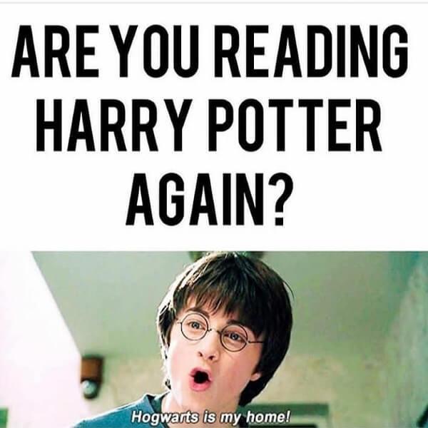 Harry Potter memes are you reading harry potter again