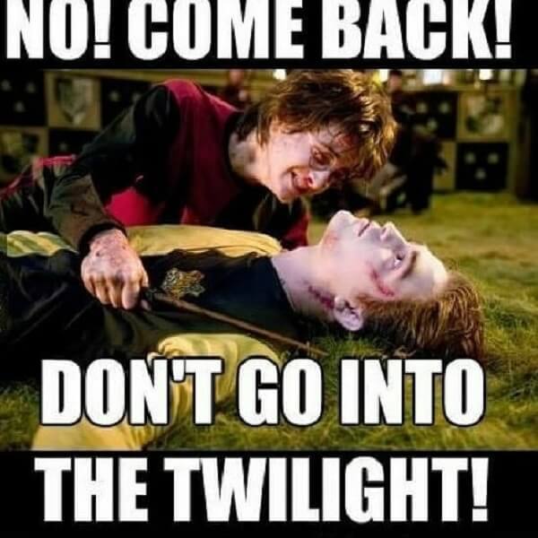 Harry Potter memes don't go to twilight