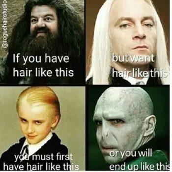 60 Funny Harry Potter Memes - Meme Central