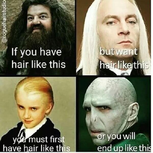 Harry Potter memes hair like this