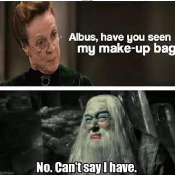 Harry Potter memes have you seen my make up