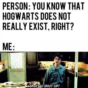 60 Funny Harry Potter Memes - Meme Central