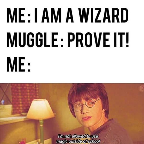 Harry Potter memes i am wizard