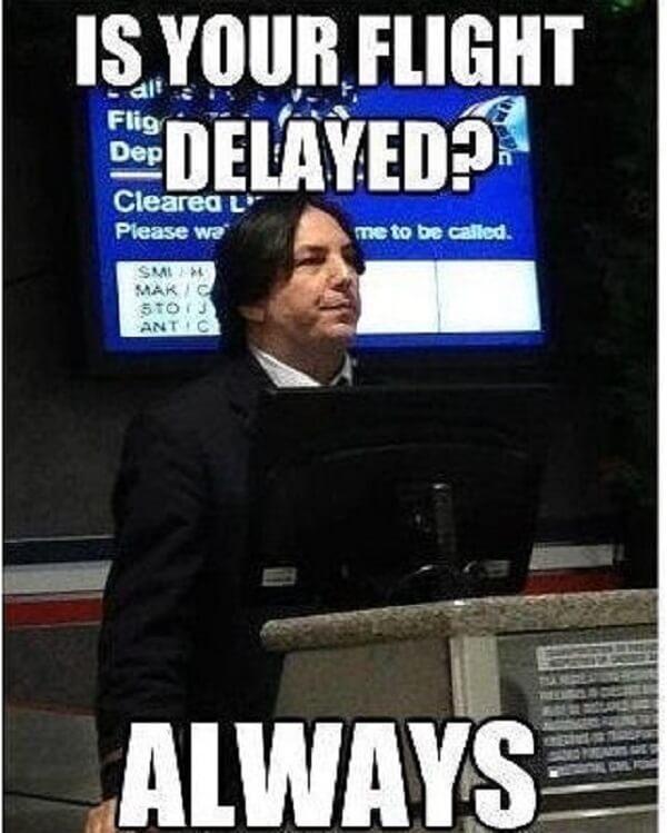 Harry Potter memes is your flight delayed