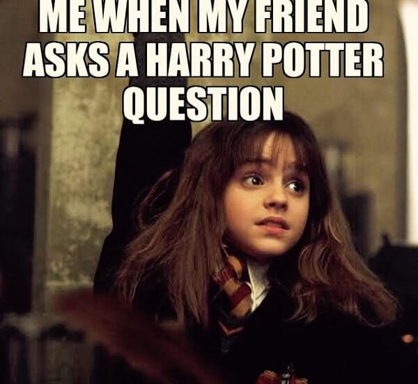 Harry Potter memes me when my friend asks a harry potter question
