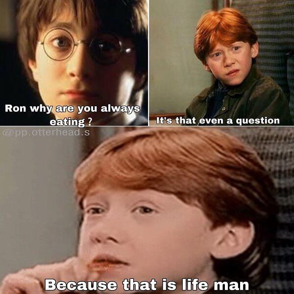 Harry Potter memes ron i have a question