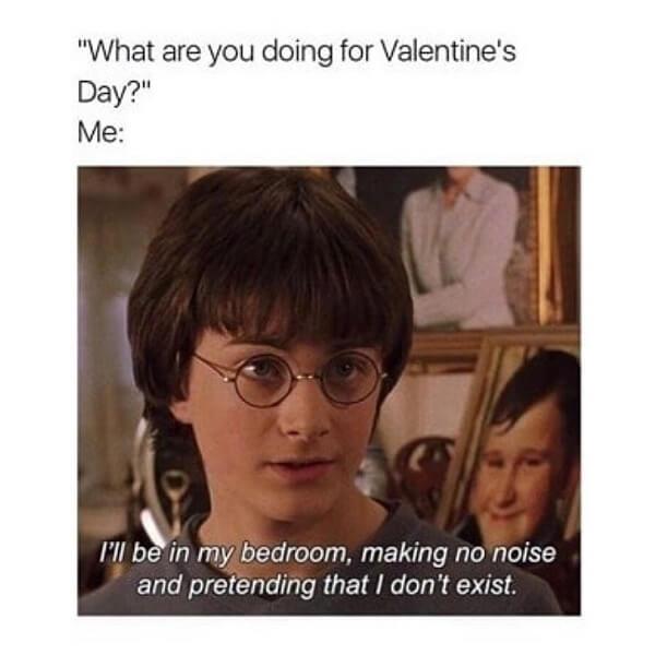 Harry Potter memes what are you doing for valentine day