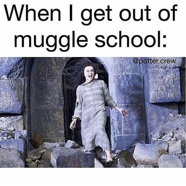 Harry Potter memes when i get out of muggle school