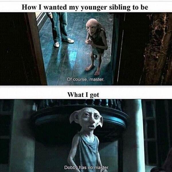 Harry Potter memess how i wanted my younger sibling to be