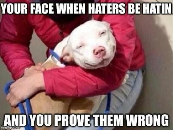 Smiling-Dog-Meme-Your-face-when-haters-be-hatin-and-you-prove-them-wrong