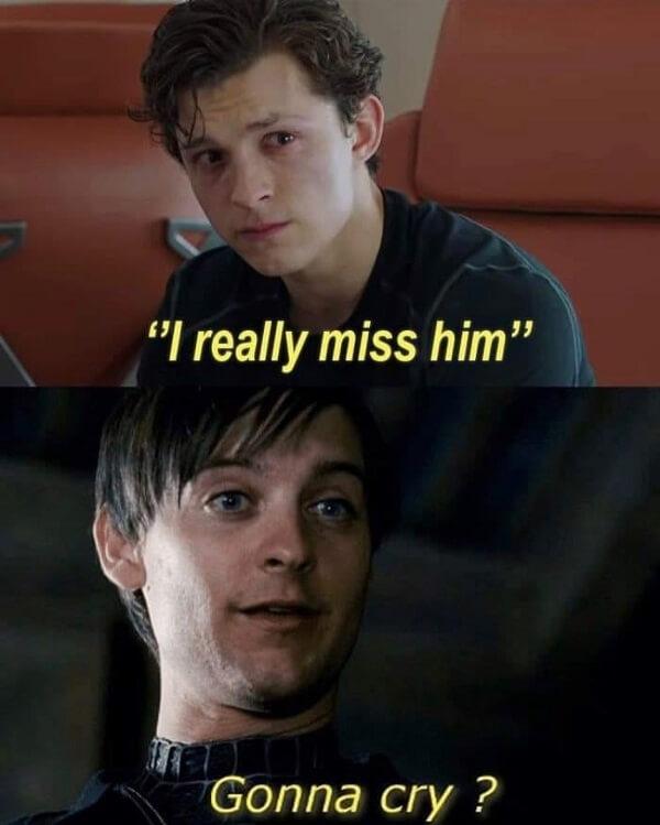 Spider Man Meme i really miss him