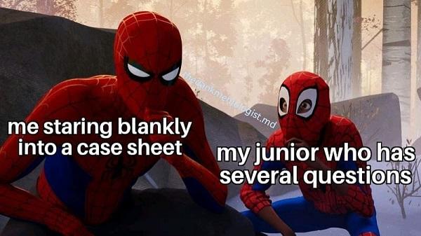 Spider Man Meme me staring blanky into a case sheet