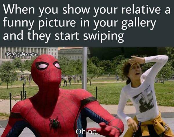 Spider Man Meme when you show your relative