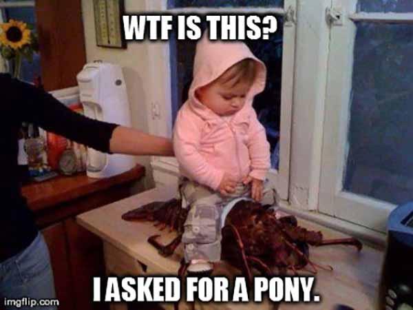 Wtf-Is-This-I-Asked-For-A-Pony-Funny-Wtf-Meme-Image