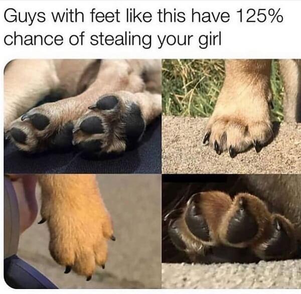 animal meme guys with feet like this have 125% chance of stealing your girl