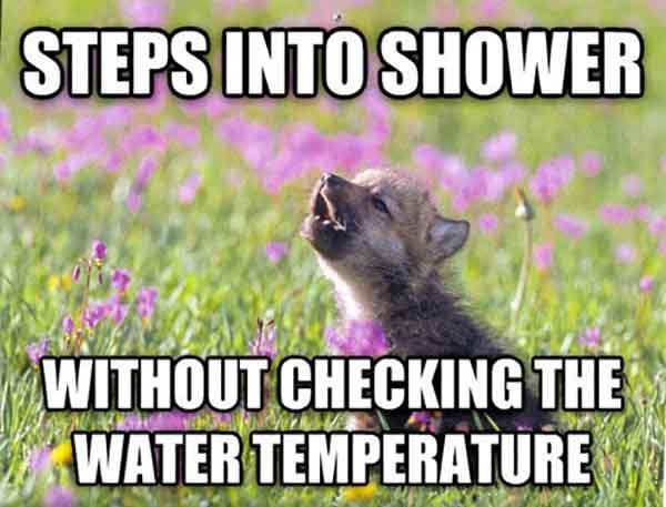 baby animal memes step into showers