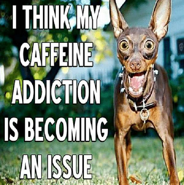 caffeine-addiction-is-becoming-an-issue-10178669