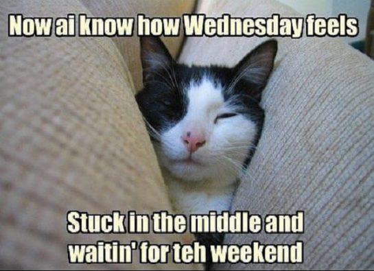 勞 35 Funniest Wednesday Meme - Meme Central