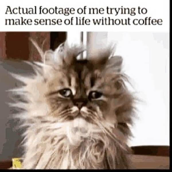 coffee meme actual footage of me