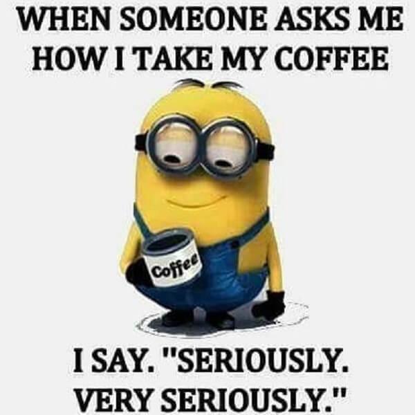 coffee meme minion