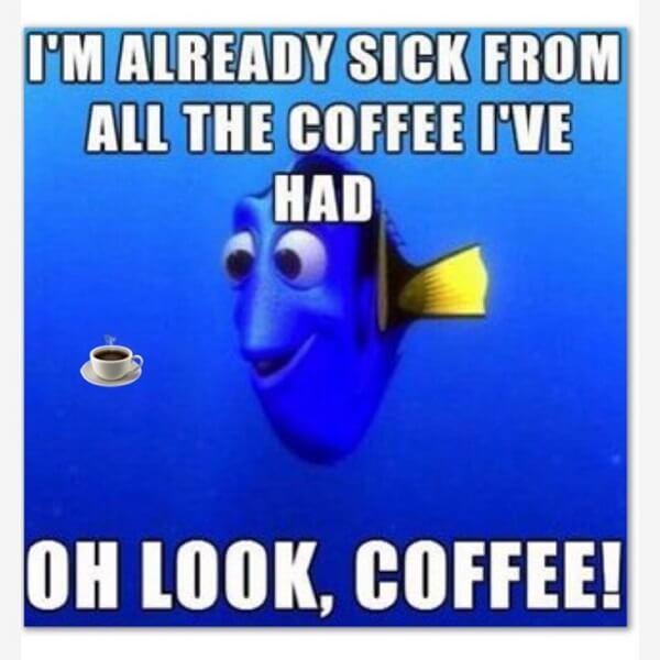 coffee meme sick from all the coffee