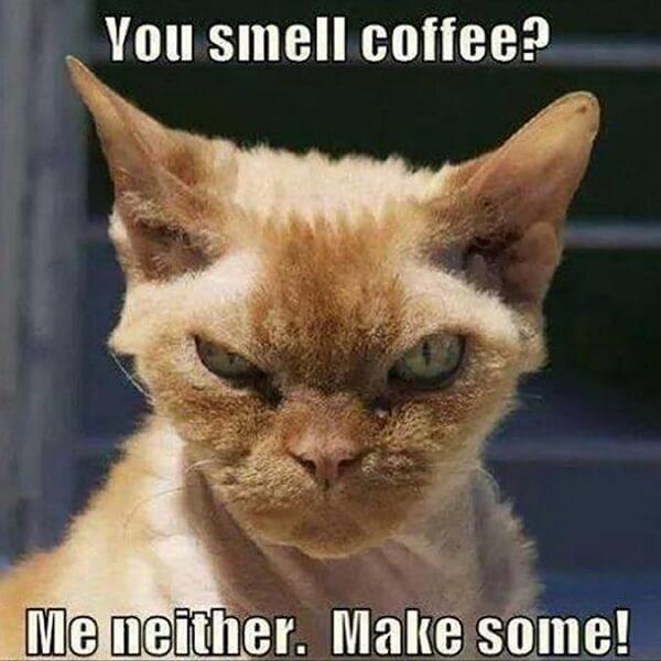 coffee meme you smell coffee