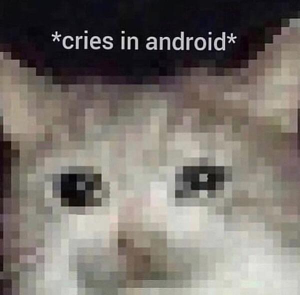 crying cat meme in android