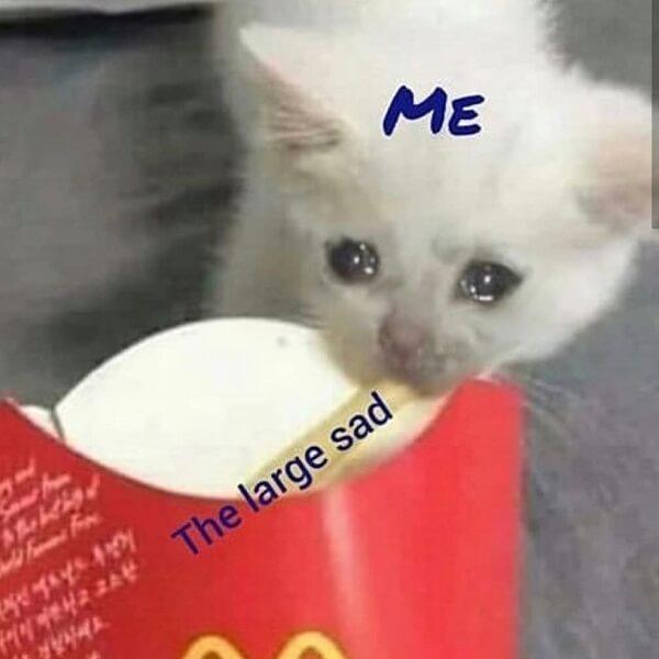 crying cat meme mc depression